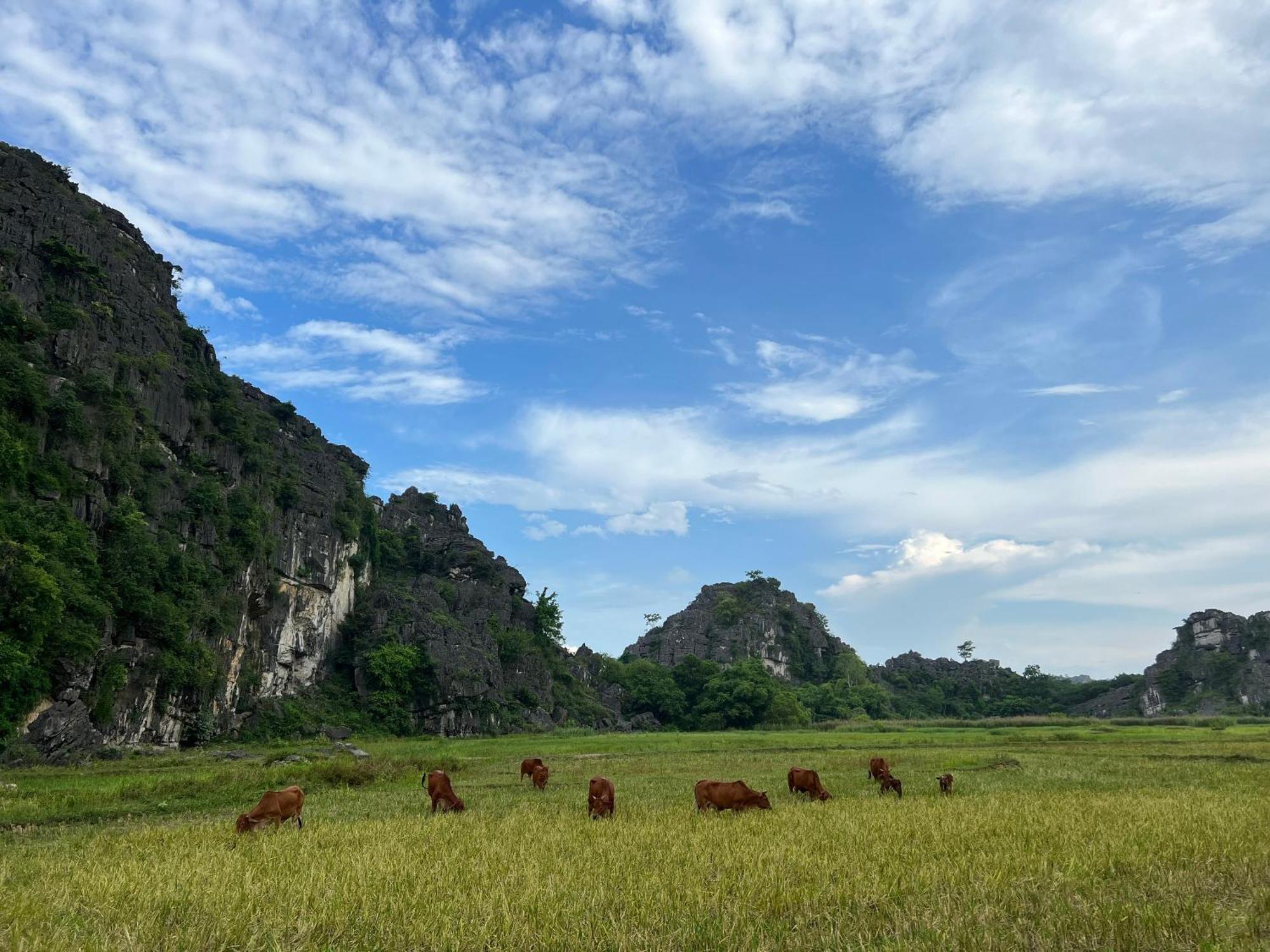 Ninh Binh Family Homestay Kültér fotó