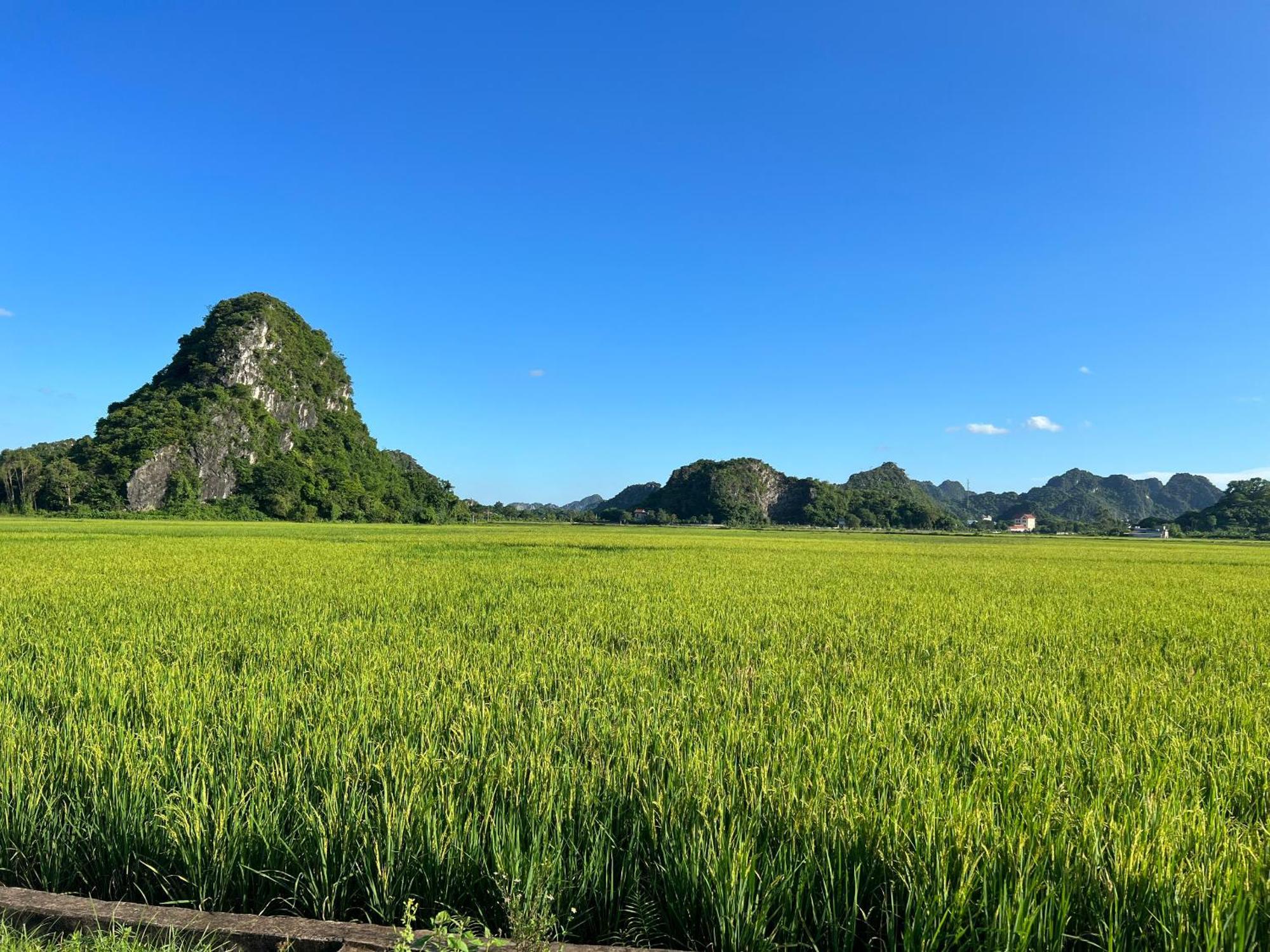 Ninh Binh Family Homestay Kültér fotó