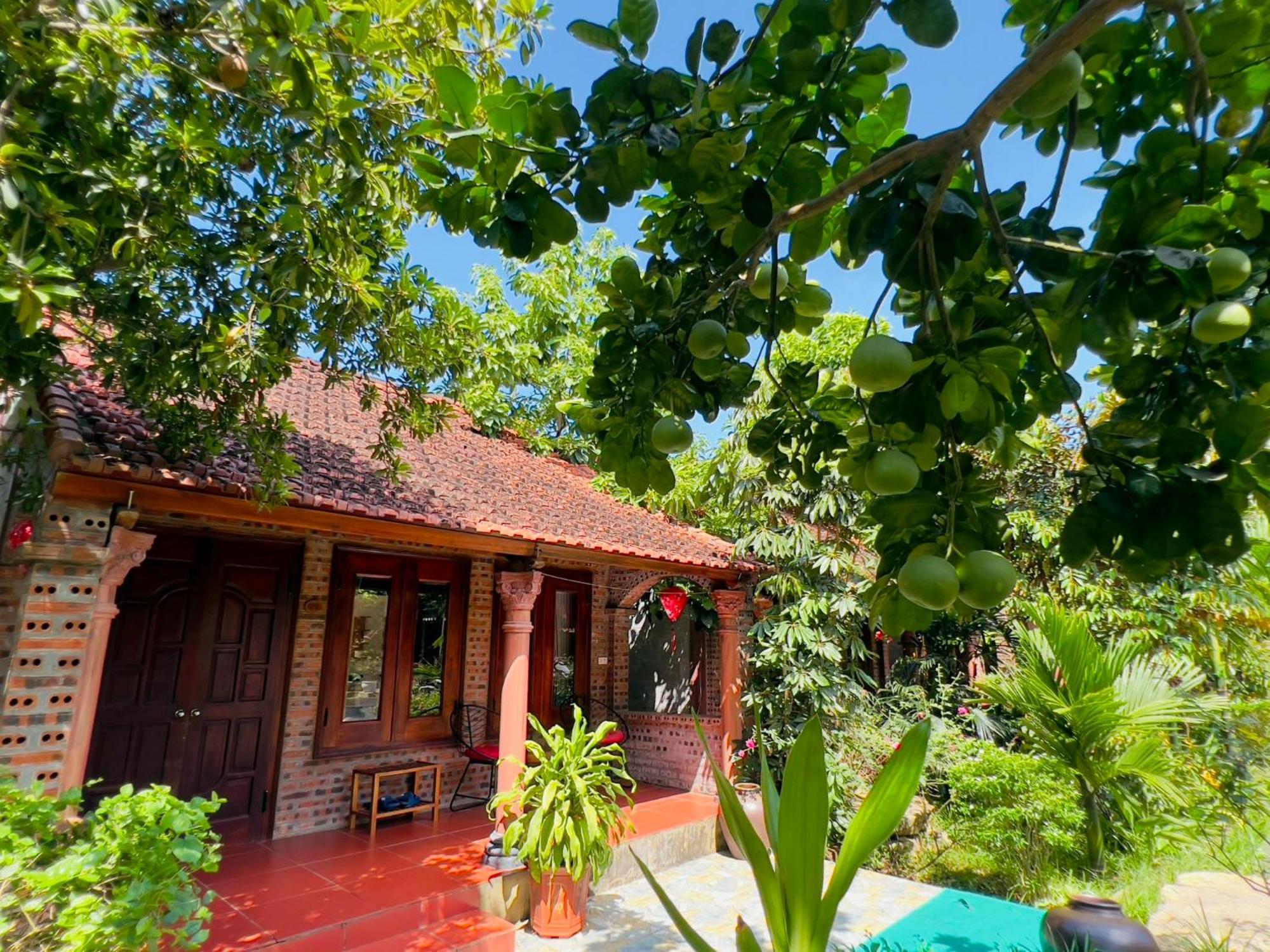 Ninh Binh Family Homestay Kültér fotó